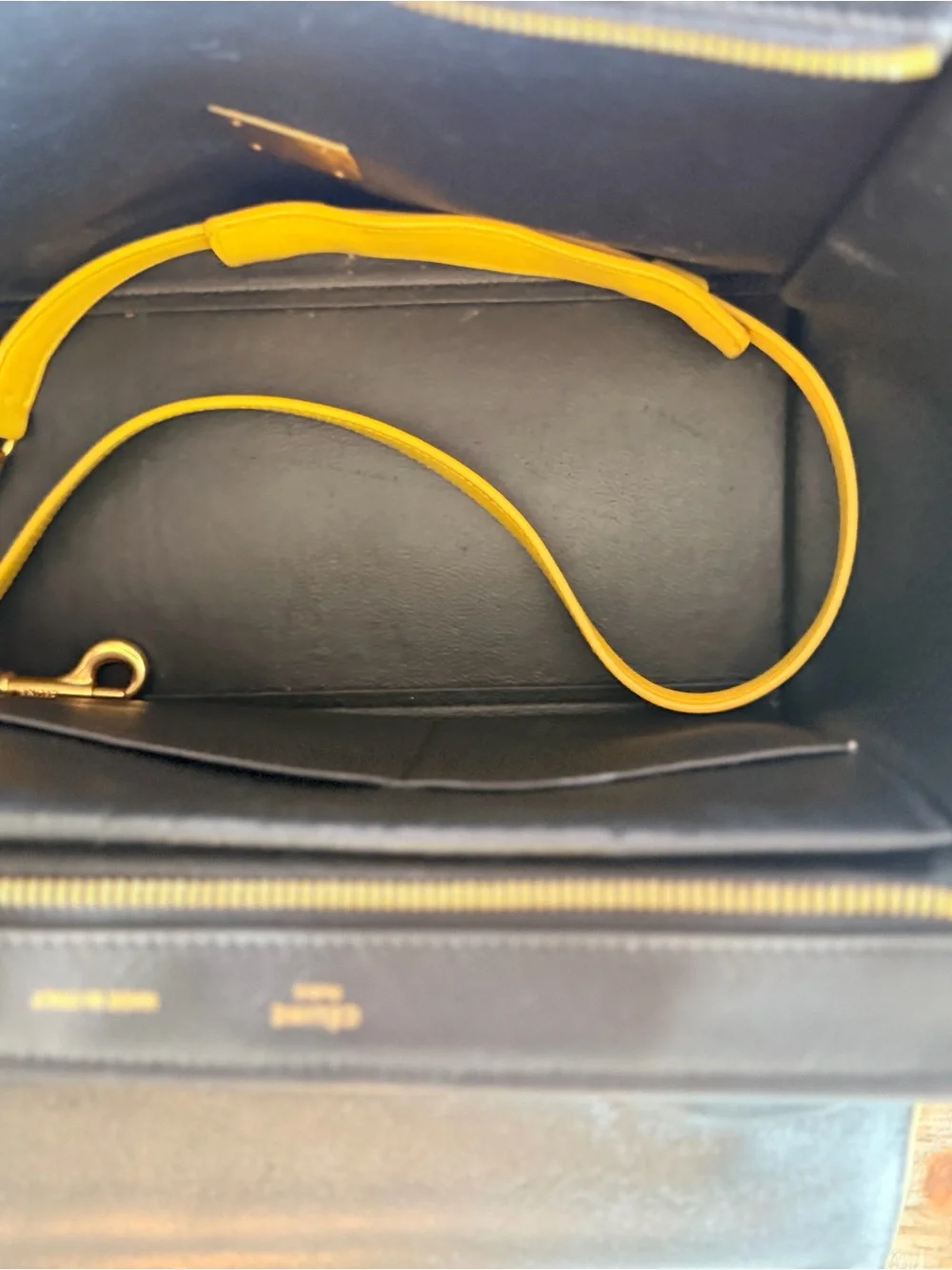 Celine trapeze color